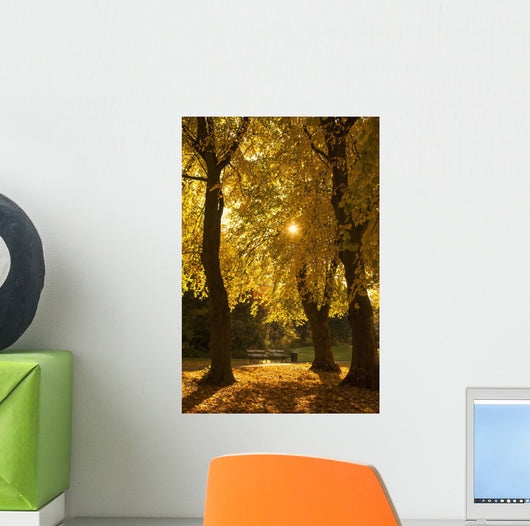 Sunlight glowing through the leaves of trees Wall Mural
