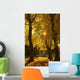 Sunlight glowing through the leaves of trees Wall Mural
