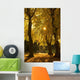 Sunlight glowing through the leaves of trees Wall Mural