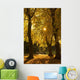 Sunlight glowing through the leaves of trees Wall Mural