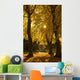 Sunlight glowing through the leaves of trees Wall Mural