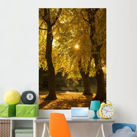 Sunlight glowing through the leaves of trees Wall Mural