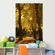Sunlight glowing through the leaves of trees Wall Mural