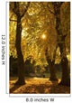 Sunlight glowing through the leaves of trees Wall Mural