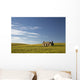 An abandoned farm building alone Wall Mural