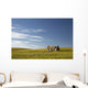 An abandoned farm building alone Wall Mural