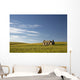 An abandoned farm building alone Wall Mural
