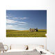 An abandoned farm building alone Wall Mural