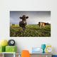 Cows Wall Mural