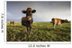 Cows Wall Mural