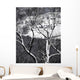 Farmland Valley below Seen Wall Mural