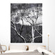 Farmland Valley below Seen Wall Mural