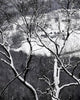 Farmland Valley below Seen Wall Mural