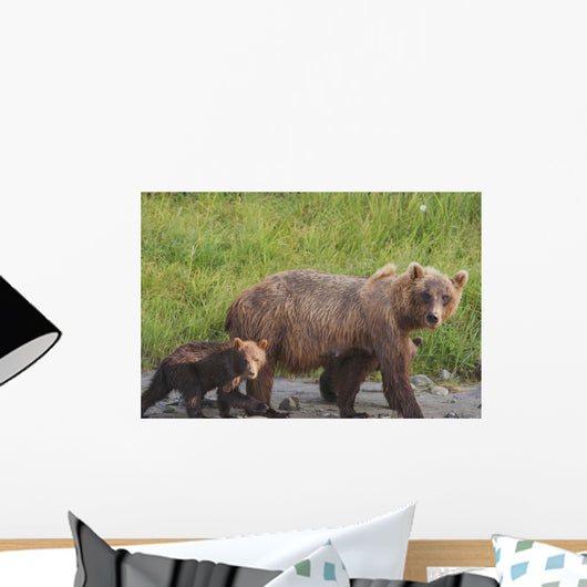 A brown bear walking with it's cub;Alaska, united states of america Wall Mural
