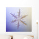 Photo-microscope Real Snowflake Wall Decal 3