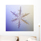 Photo-microscope Real Snowflake Wall Decal 3
