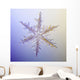Photo-microscope Real Snowflake Wall Decal 3