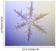 Photo-microscope Real Snowflake Wall Decal 3