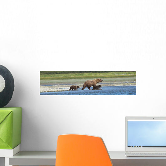 Panoramic Of Brown Bear Sow And Cubs On The Shore Of Mikfik Creek Wall Mural