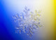Photo-microscope Real Snowflake Wall Decal 1