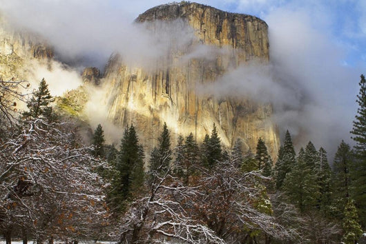 Yosemite National Park's El Wall Decal