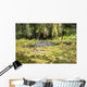USA, Louisiana, Alligator in swamps Wall Mural