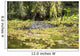 USA, Louisiana, Alligator in swamps Wall Mural