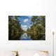 USA, Louisiana, Swamp landscape Wall Mural