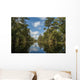 USA, Louisiana, Swamp landscape Wall Mural