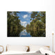 USA, Louisiana, Swamp landscape Wall Mural