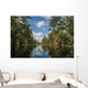 USA, Louisiana, Swamp landscape Wall Mural