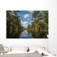 USA, Louisiana, Swamp landscape Wall Mural
