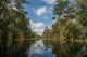 USA, Louisiana, Swamp landscape Wall Mural