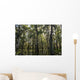 USA, Louisiana, Swamp landscape Wall Mural