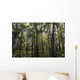USA, Louisiana, Swamp landscape Wall Mural