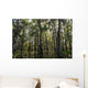 USA, Louisiana, Swamp landscape Wall Mural