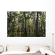 USA, Louisiana, Swamp landscape Wall Mural