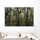 USA, Louisiana, Swamp landscape Wall Mural