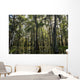 USA, Louisiana, Swamp landscape Wall Mural