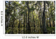 USA, Louisiana, Swamp landscape Wall Mural