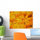 Orange Cup Corals Wall Decal