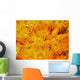 Orange Cup Corals Wall Decal
