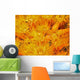 Orange Cup Corals Wall Decal