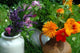 Herb Flowers Healthy Wall Decal