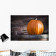 Denmark, Close-up of Pumpkin Wall Mural