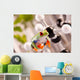 Green Frog sitting on molecules Wall Mural