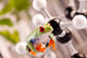 Green Frog sitting on molecules Wall Mural