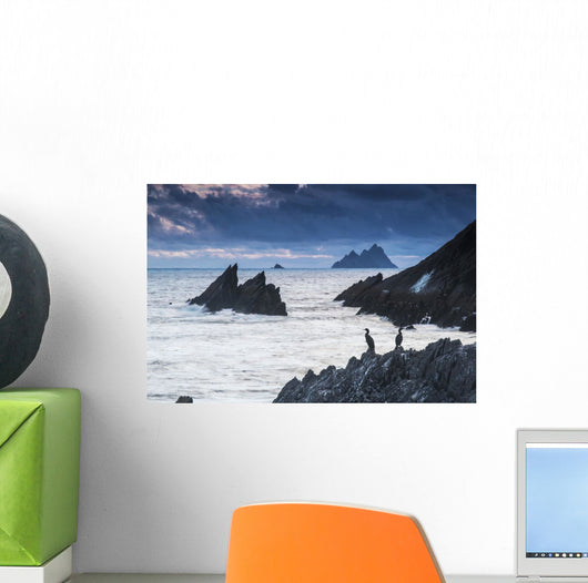 Cormorants on the rocks;Iveragh peninsula, county kerry, ireland Wall Mural