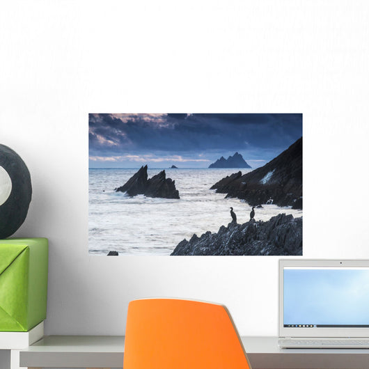 Cormorants on the rocks;Iveragh peninsula, county kerry, ireland Wall Mural