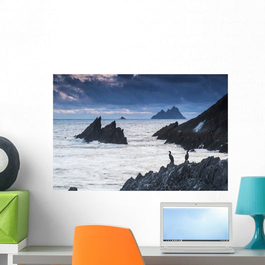 Cormorants on the rocks;Iveragh peninsula, county kerry, ireland Wall Mural